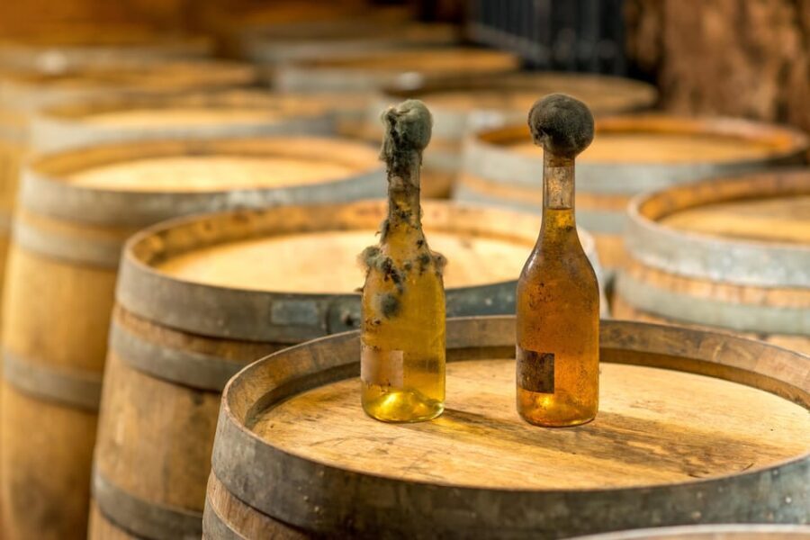 From Budapest: Tokaj Wine Tour with Tasting and Lunch - The Value: Considering the Cost