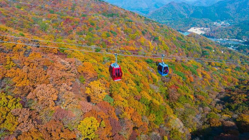 From Busan: Enchanting Oedo Island Day Tour with Windy Hill - Detailed Breakdown of the Tour