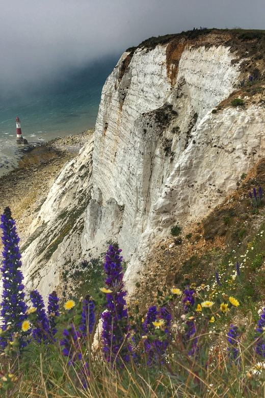From Cambridge: Guided day trip to Brighton & Beachy Head - A Deep Dive Into the Itinerary and Experience