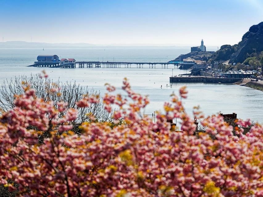 From Cardiff: Golden Gower Coast, Swansea & Mumbles Day Tour - Transportation and Group Dynamics