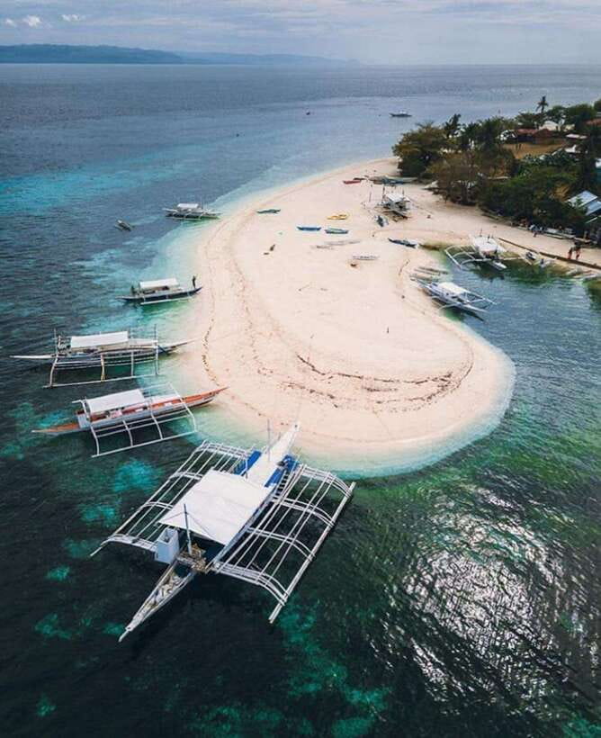 From Cebu:Pamilacan, Virgin Island, Dolphin Watching & Lunch - What to Expect and What to Bring  