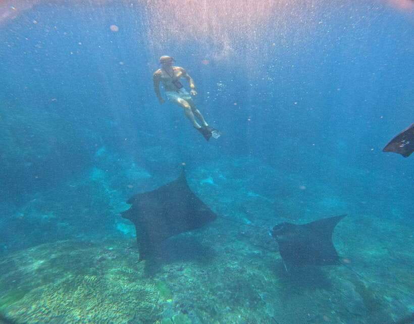 From Ceningan: Snorkeling with Manta Rays at Manta Point - What the Reviews Say