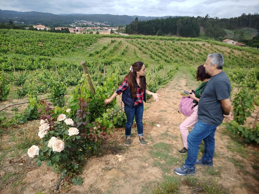 From Coimbra: Dão Wine Route Experience - Why This Tour Offers Real Value