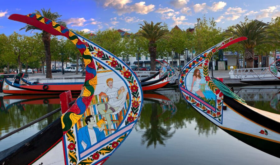 From Coimbra: Porto, Aveiro and Douro in Private with Tasting and Cruise - What’s Included and What’s Not