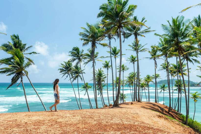 From Colombo: 2-Day Southern Coast Wildlife & Heritage Tour - Who Will Love This Tour?