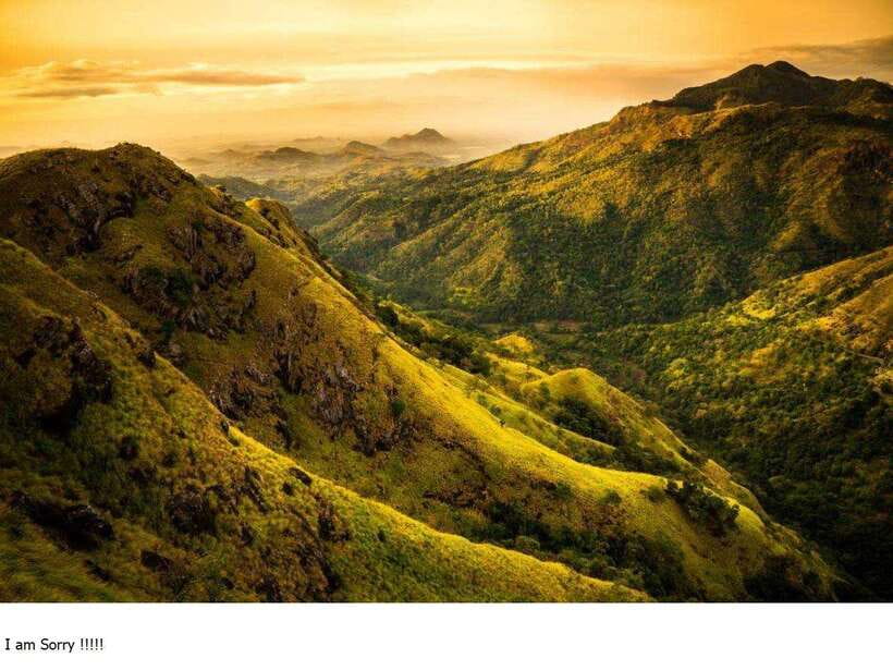From Colombo: 2-Day Tour to Nuwara Eliya & Transfer Ella - What Makes This Tour Stand Out?