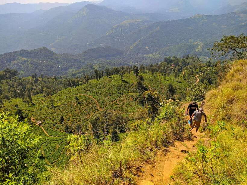 From Colombo: 3-Day Hill Country Escape with Train Ride - What Makes This Tour Special