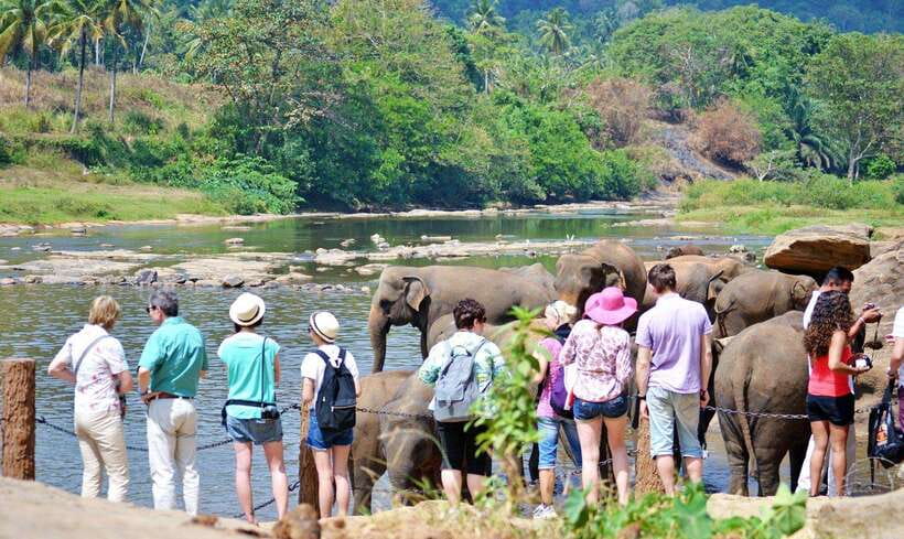 From Colombo: 4-Day Hill Country Tour with Train Ride - What’s Included & What’s Not