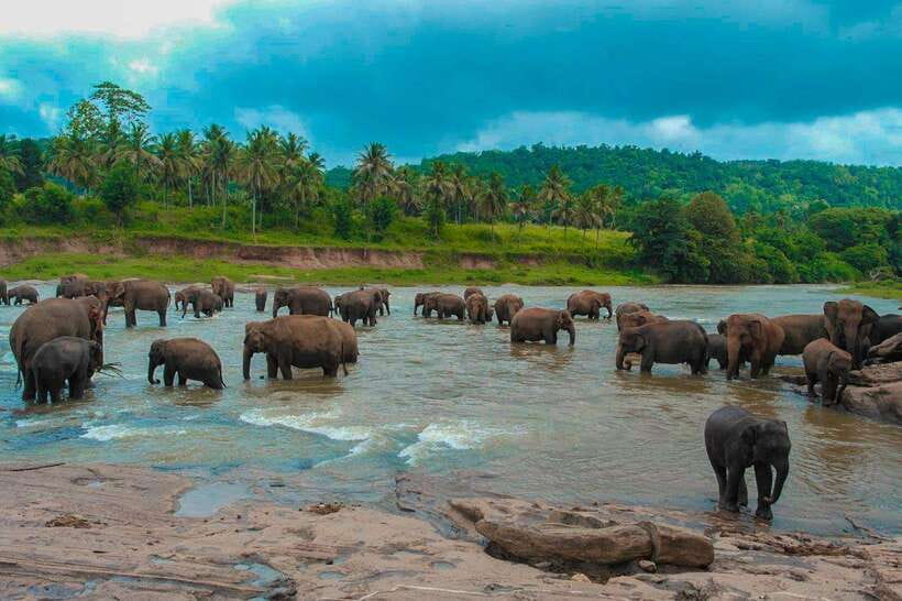 From Colombo: 4-Day Sri Lanka Tour with Elephant Orphanage - The Itinerary in Detail: What to Expect and Why It Matters