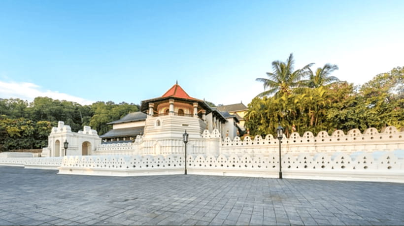 From Colombo: Kandy and Tea Plantations Day Trip - Who Should Consider This Tour?