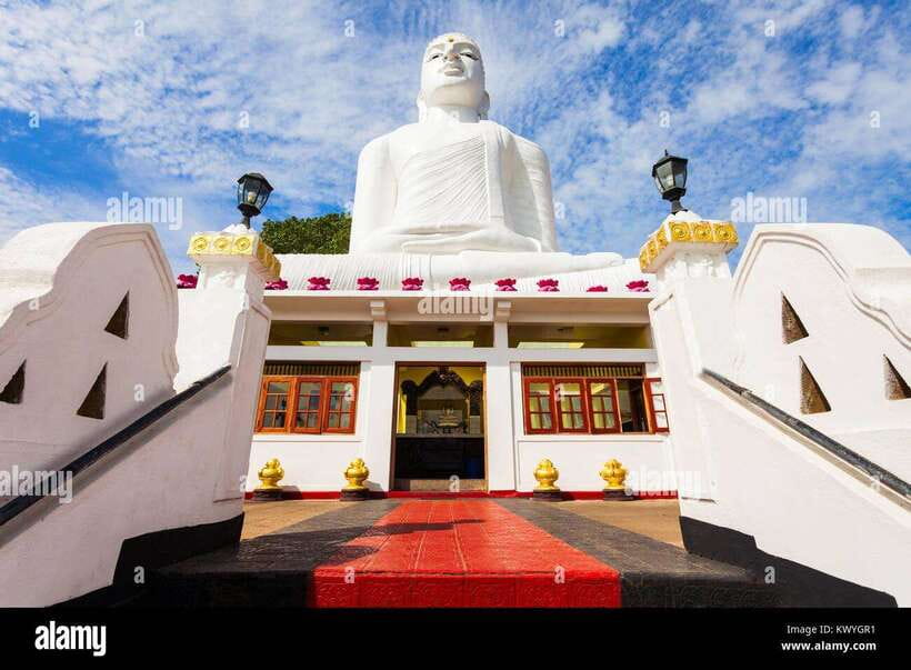 From Colombo: Kandy, Pinnawala and Tea Factory Full-Day Trip - Practical Considerations