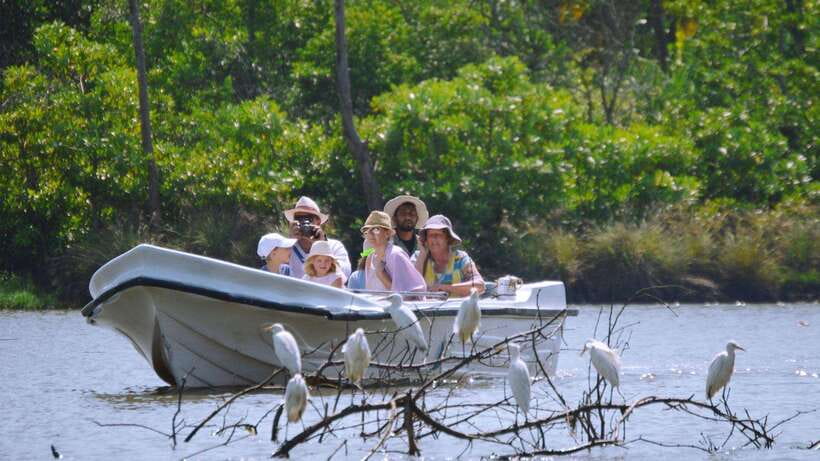 From Colombo to Galle Fort and Jungle Beach Day Trip - Hikkaduwa: Coral Reefs and Turtle Sanctuary