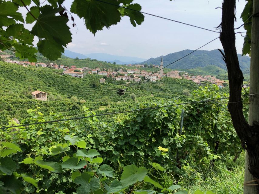 From Conegliano: Prosecco Hills Wine and Cheese Tasting Tour - The Practicalities & Value