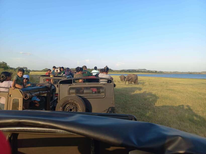 From Dambulla: Minneriya National Park wild Jeep Safari - Breaking Down the Itinerary