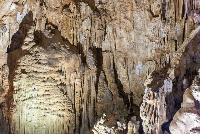 From Dong Hoi : Paradise and Phong Nha Caves Day Trip - Itinerary Breakdown