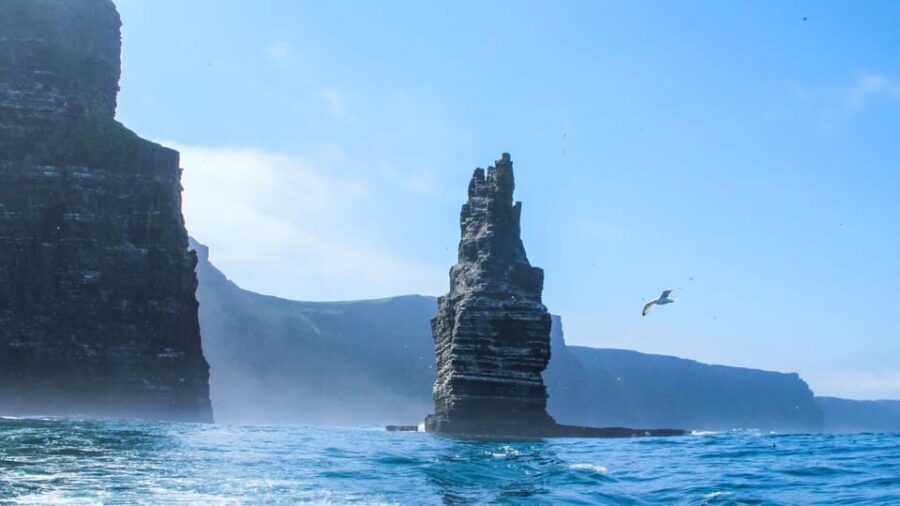 From Dublin: Private Cliffs of Moher Day Tour with Transport - Analyzing the Value: Is It Worth the Price?
