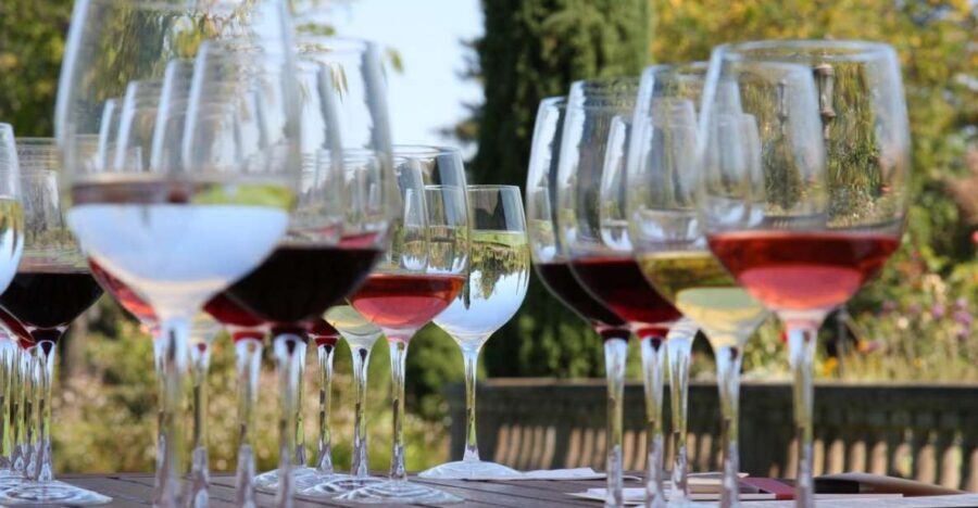 From Dubrovnik Private Wine Tasting Tour - Who Will Love This Tour?