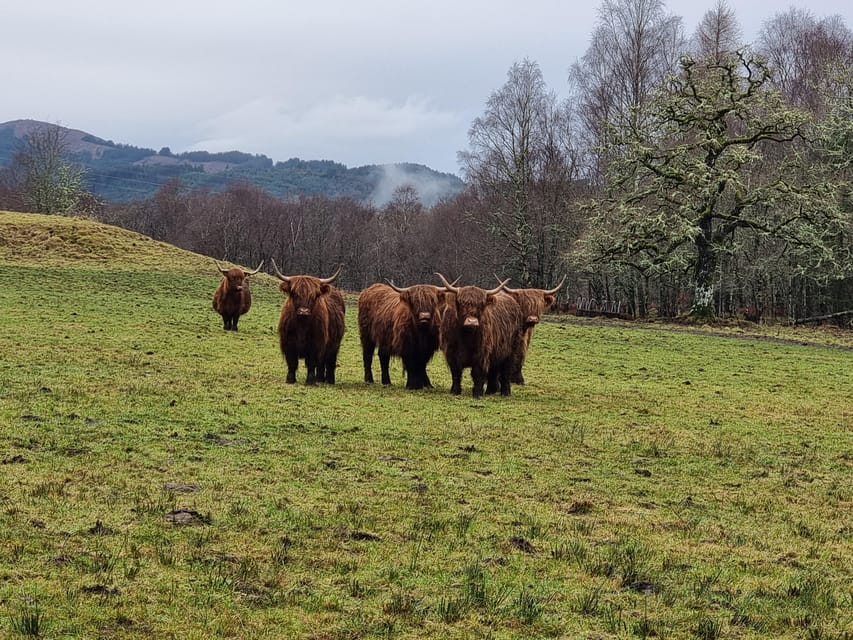 From Edinburgh: Loch Ness Private Day Tour with Transfers - The Transportation and Guide Experience