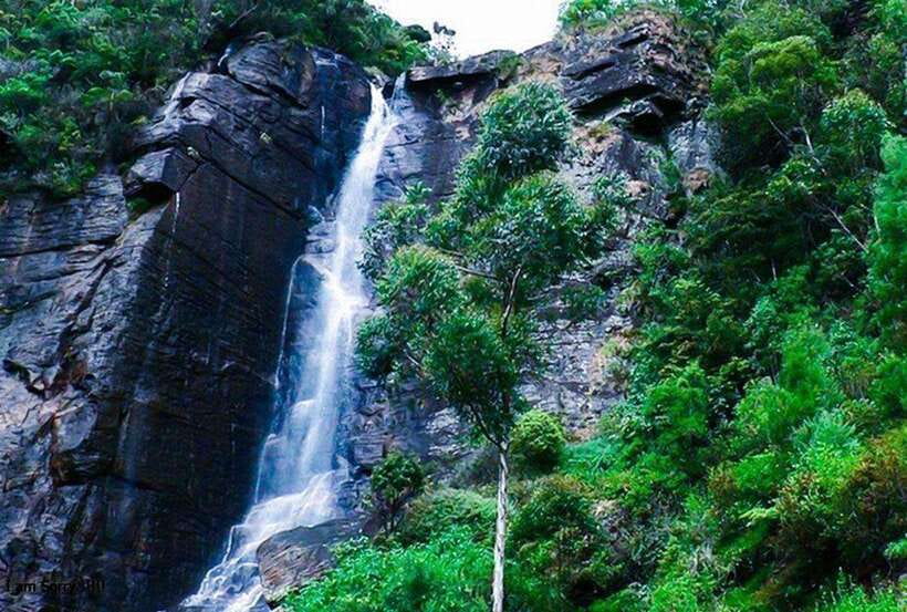 From Ella: 2-Day Tour to Nuwara Eliya and Kandy with Drop - Analyzing the Value and Comfort
