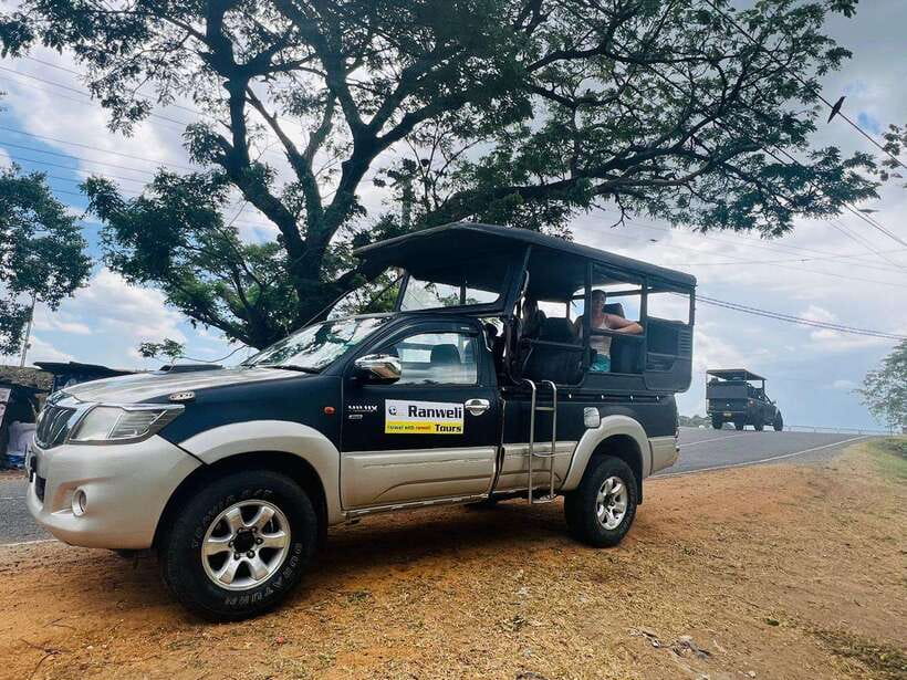 From Ella: Udawalawe National Park Safari with Elephant - An In-Depth Look at the Udawalawe Safari Experience  
