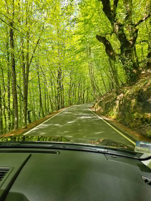 From Fafe: Full-day Tour in Gerês National Park - Exploring the Natural Wonders