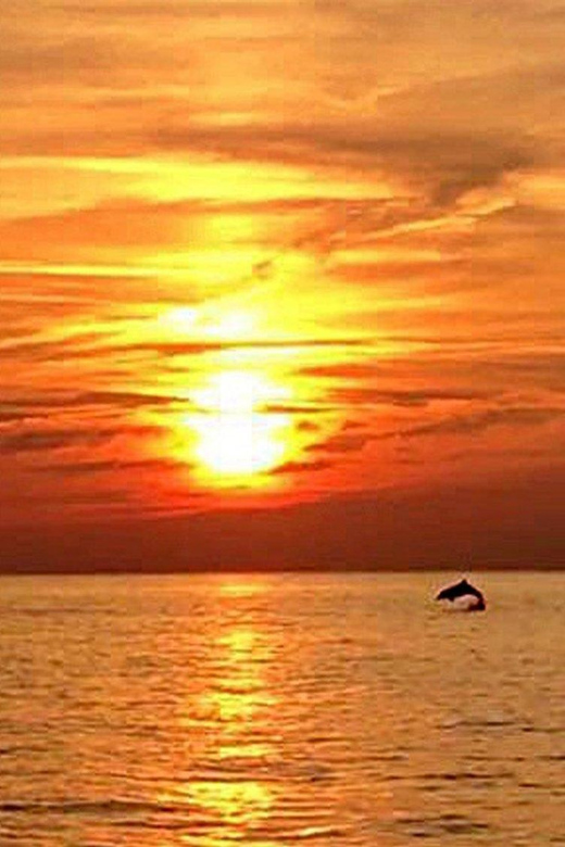 From Fazana: Dolphin watching sightseeing cruise at sunset - What To Expect During the Tour
