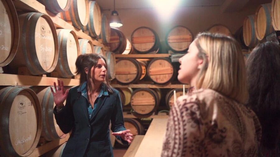 From Florence: Montepulciano, Montalcino & Cortona Day Trip - Transport, Timing, and Group Dynamics
