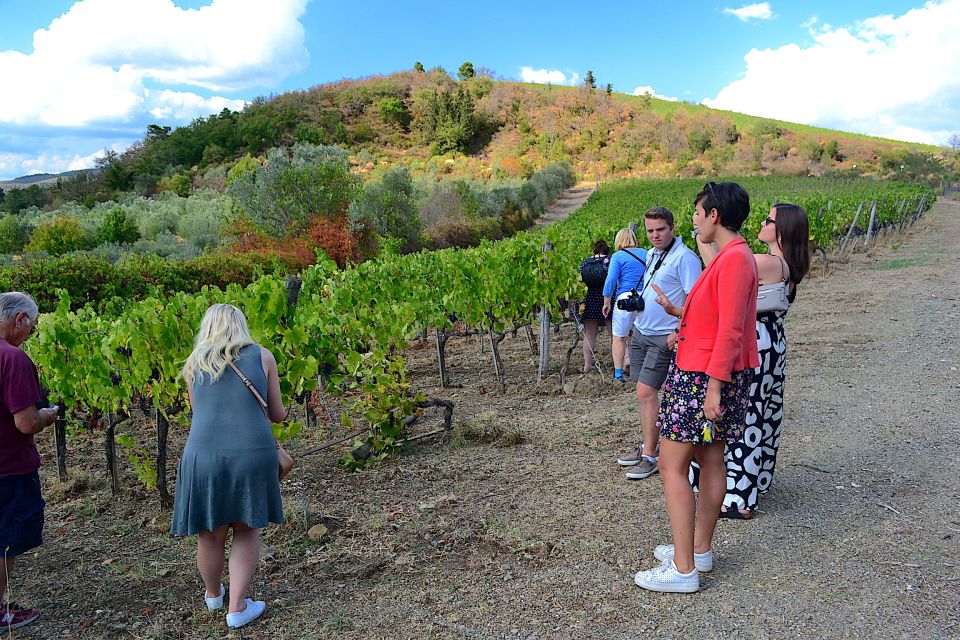 From Florence: Small-Group Chianti Wine Tour - What the Reviews Say