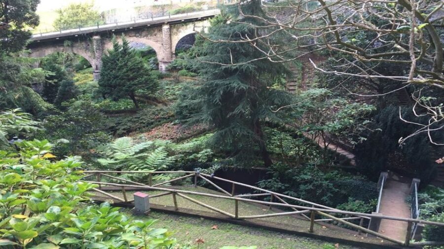 From Funchal: Nuns Valley, Monte and Sleigh Ride Tour - Why this tour offers great value