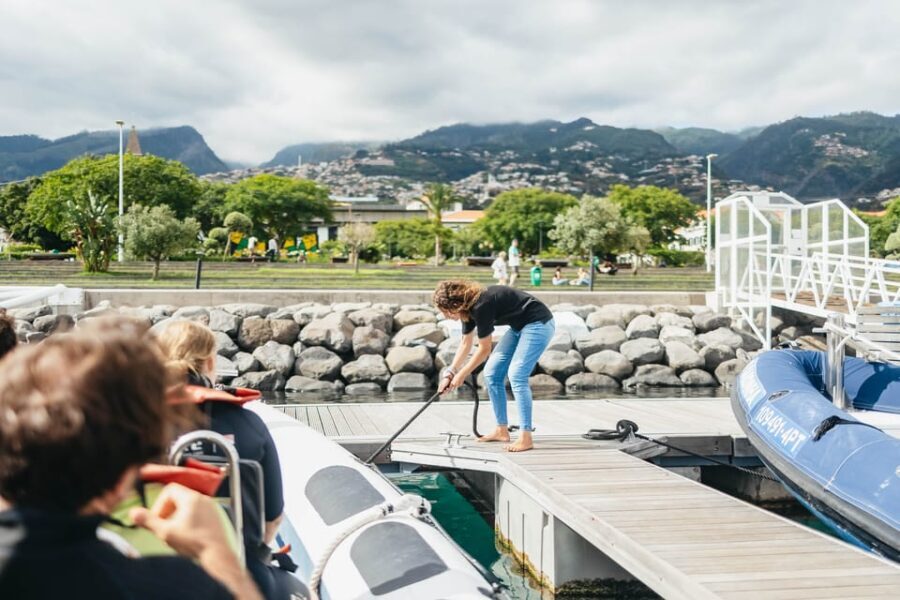 From Funchal: Whales and Dolphin Adventure Tour - Value and Practicalities