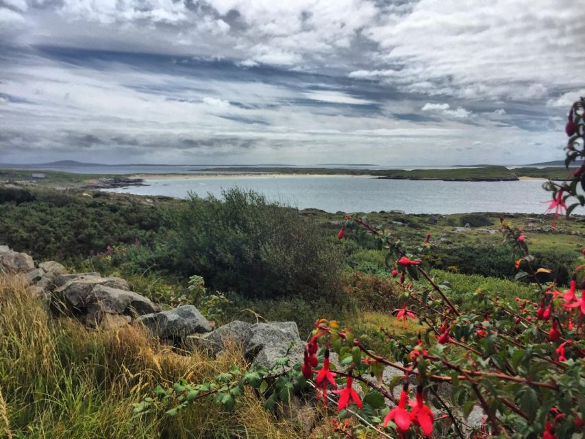 From Galway: Connemara and Kylemore Abbey Day Tour - Main Stop Options: Connemara National Park or Kylemore Abbey