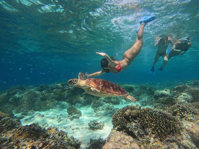 From Gili Air : 3 Islands Snorkeling Trip with Sea Turtles - What to Expect and Practical Tips