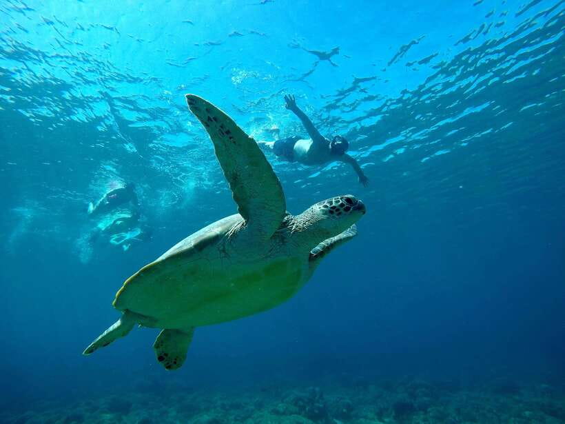 From Gili Air Private Snorkeling Tour 3 Gilis - The Itinerary and What You’ll See