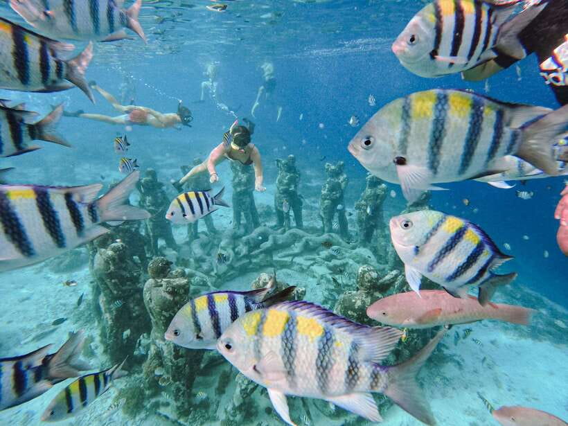 From Gili Meno: Private Snorkeling with Turtle & Statue - Analyzing the Value