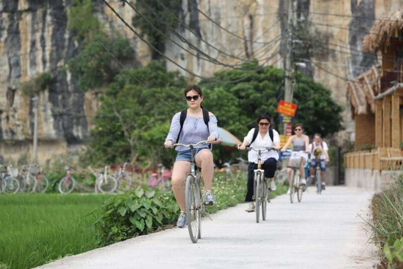 From Hanoi: Ninh Binh Full-Day Tour - Overview of the Ninh Binh Tour