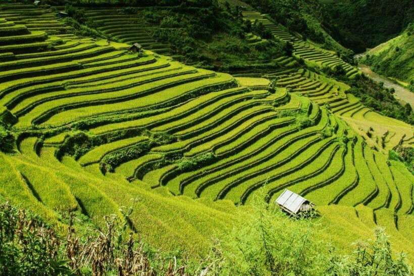 From Hanoi:Sapa 2D1N Trekking Cat Cat/Lao Chai,Fansipan Peak - Itinerary Details