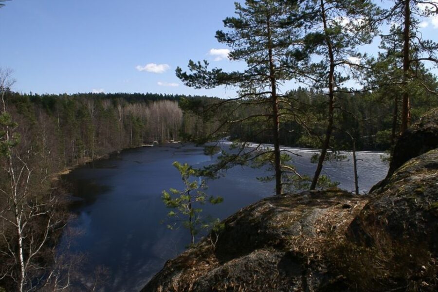 From Helsinki: Nuuksio National Park Half-Day Trip - Who This Tour Is Best For