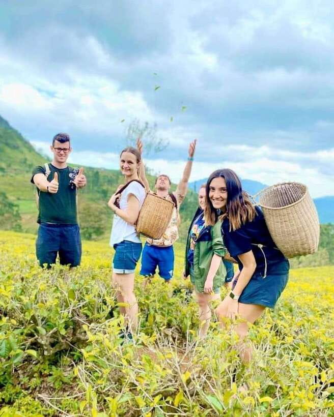 From Hikkaduwa/Galle/Mirissa : Waterfall & Tea Factory Tour - Who Would Love This Tour?