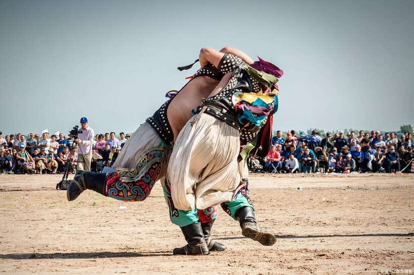 From Hohhot: 8-Day Inner Mongolia Private Tour to Ordos - What Makes This Tour Stand Out?