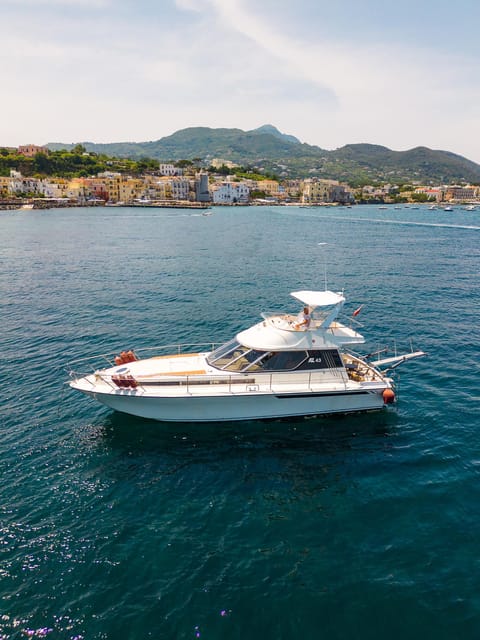 From Ischia: Ischia Private Boat Tour - Who Should Consider This Tour?