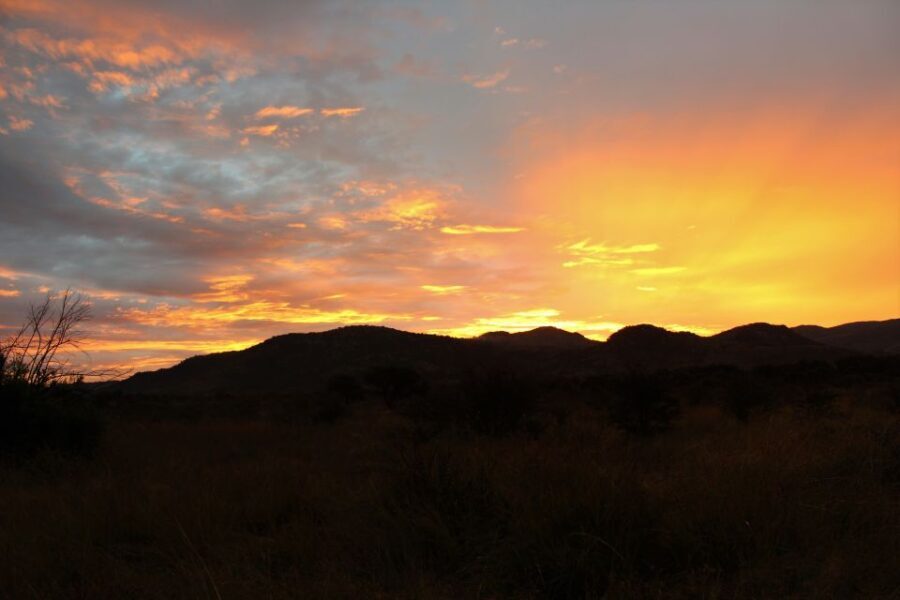 From Johannesburg: Pilanesberg Nature Reserve Game Safari - The Value of This Tour