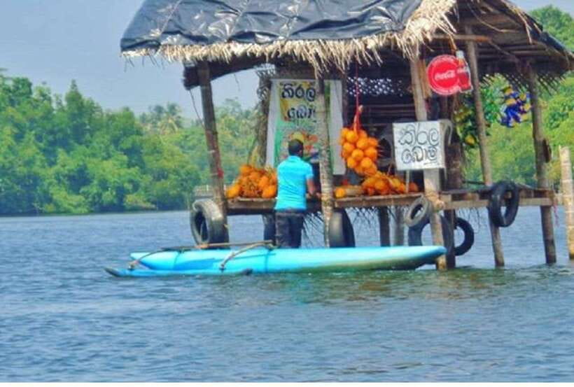 From Kalutara: Exclusive Madu River Safari & Turtle Hatchery - Turtle Conservation in Kosgoda