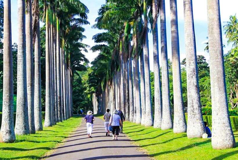 From Kandy: All Inclusive Full-Day Tour in Kandy - Private - Final Thoughts: Is This Tour Right for You?