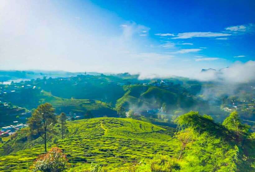 From Kandy: All Inclusive Nuwara Eliya Day Tour with Lunch - Practical Details and What to Keep in Mind