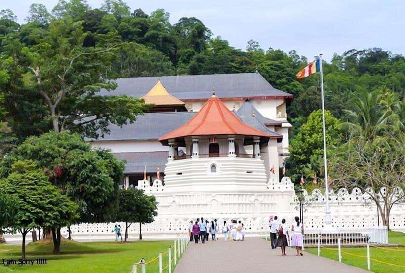 From Kandy: Full Day tour in Kandy with Ambuluwawa Tower - Exploring the Heart of Kandy: What to Expect
