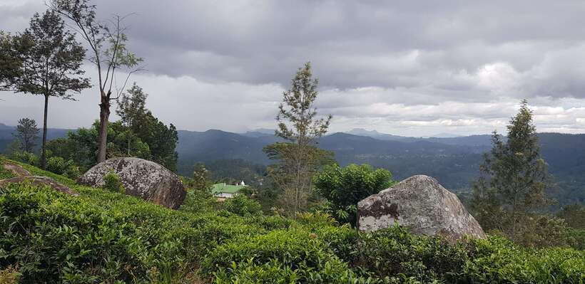 From Kandy: Nuwara Eliya Day Tour with Private Transfers - Who Is This Tour Best Suited For?