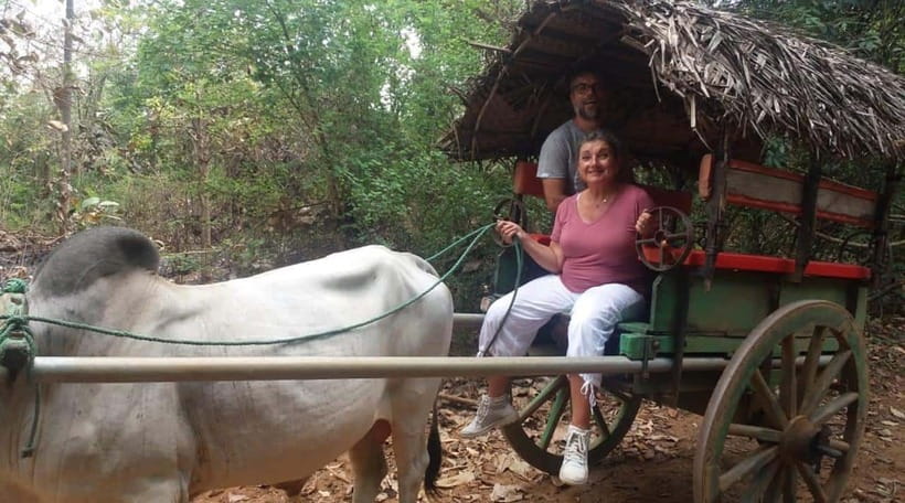 From Kandy: Sigiriya and Pidurangala Rock Tuk Tuk Day Tour - The Value and Experience