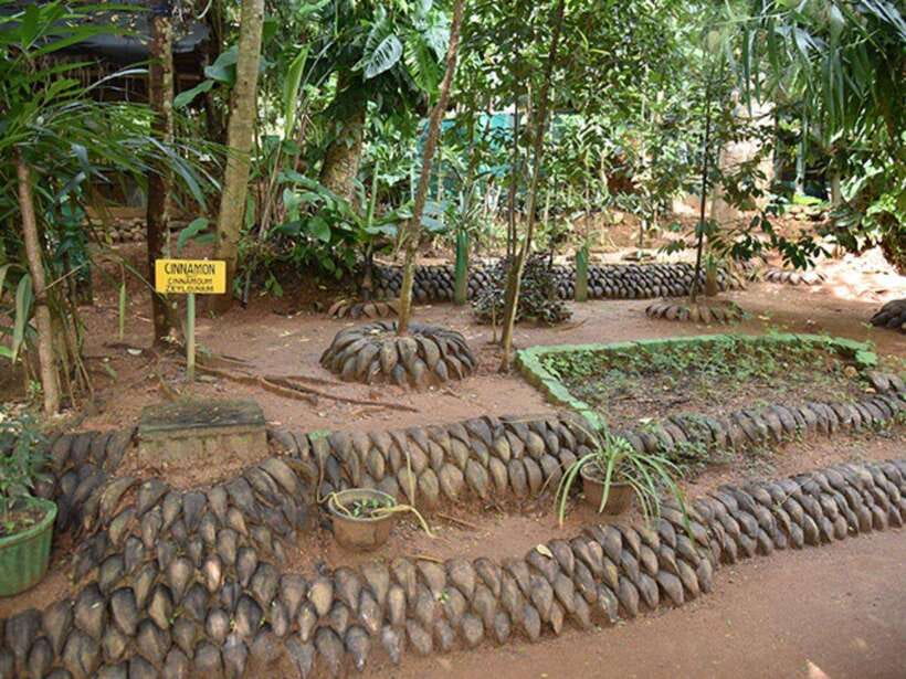 From Kandy: Sigiriya Guided Tuk-Tuk Tour - A Full Day of Cultural and Natural Highlights  