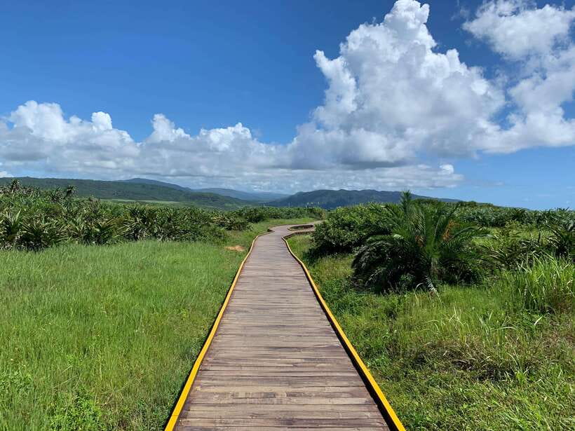 From Kaohsiung: Kenting & Ocean Coast Private Day Tour - Itinerary Deep Dive