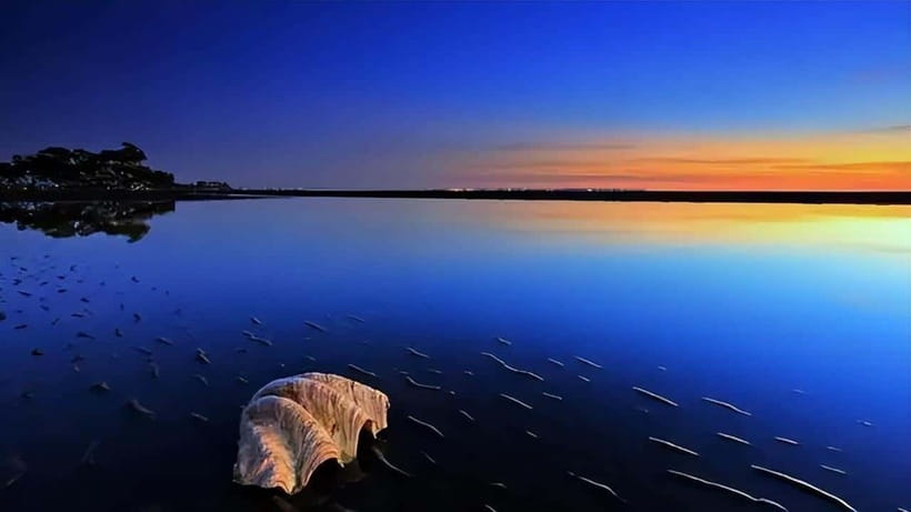 From Kashgar: 5-Day Silk Road Adventure with Accommodation - Who Will Love This Tour?